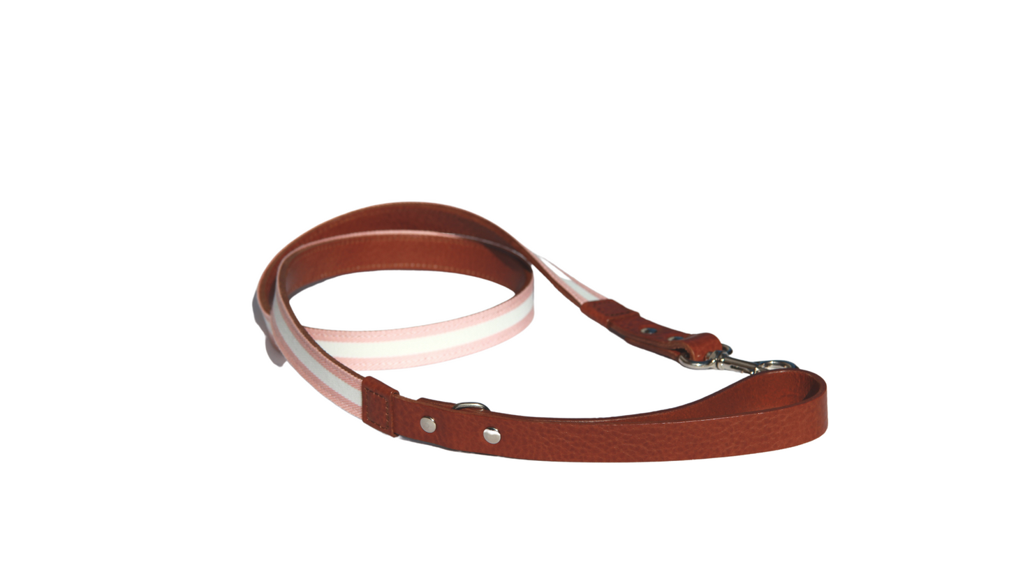 Collar y Correa - Fine Ligne