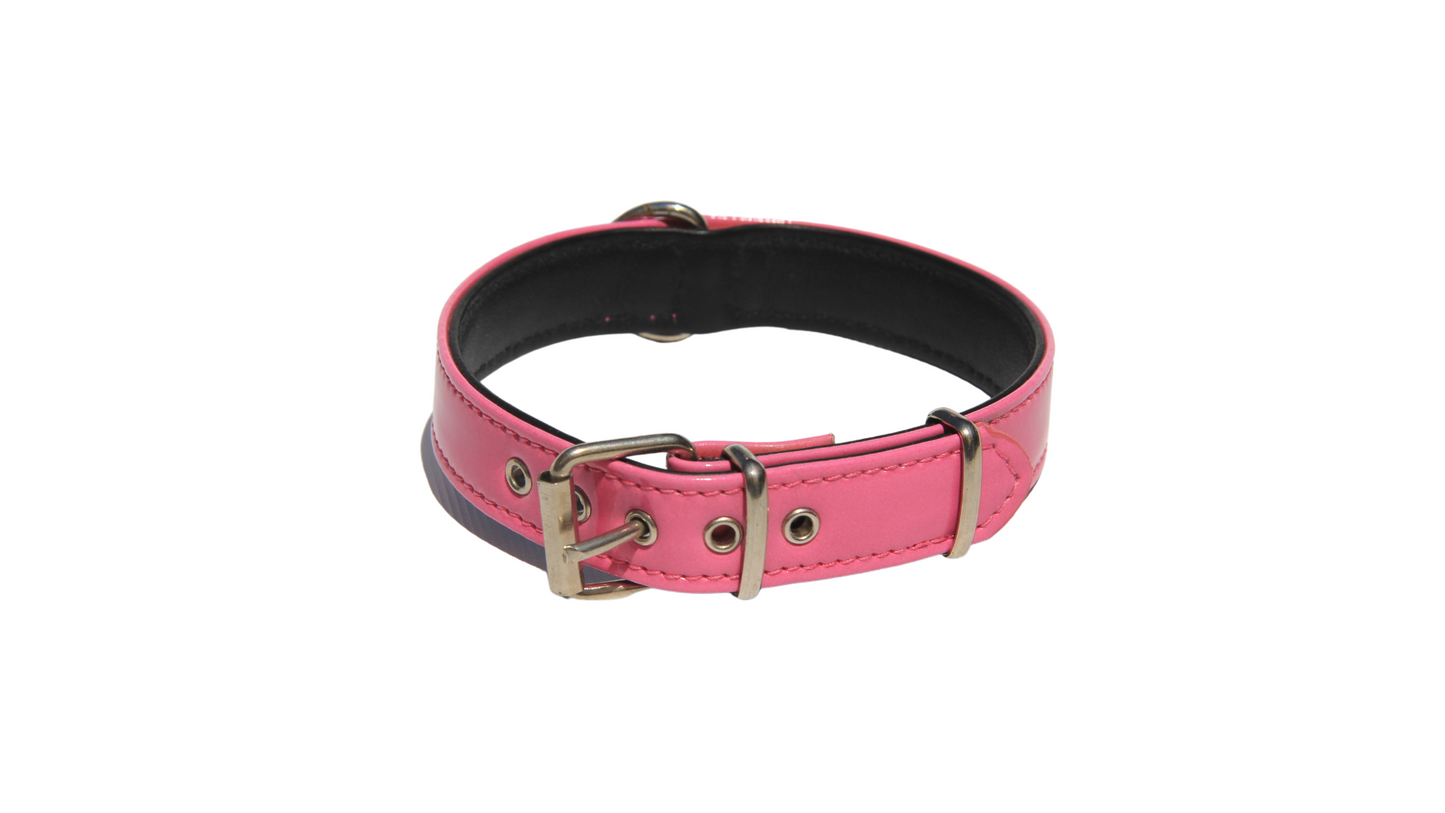 Collar Serie Charol Color Fucsia