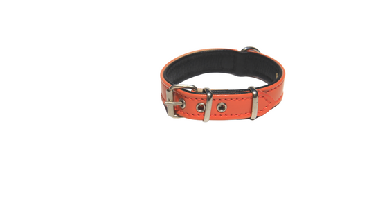 Collar Serie Charol Color Naranja