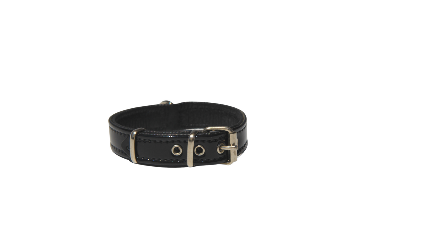 Collar Serie Charol Color Negro