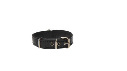 Collar Serie Charol Color Negro