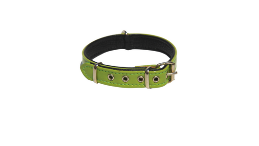 Collar Serie Charol Color Verde