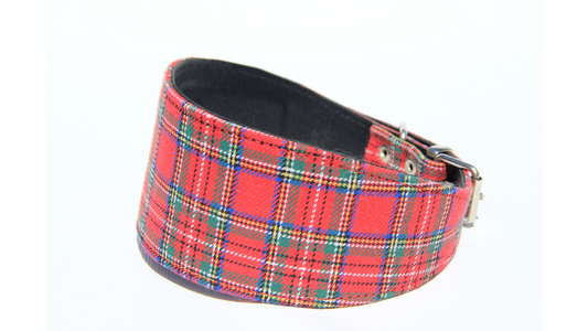 Collar Scottish Rojo Galgo