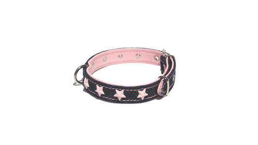 Collar Serie Charol Tejano Estrella Rosa