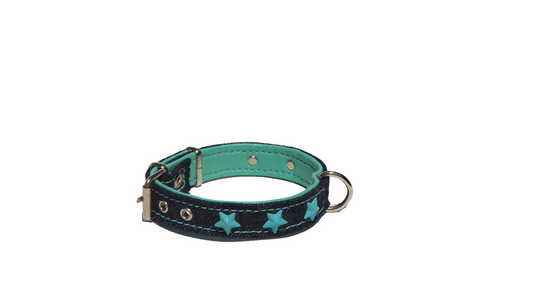 Collar Serie Charol Tejano Estrella Turquesa