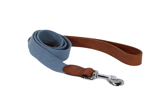 Correa Egitto Cotton Galgo Martingale Cielo