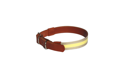 Collar Fine Ligne Amarillo - Beige