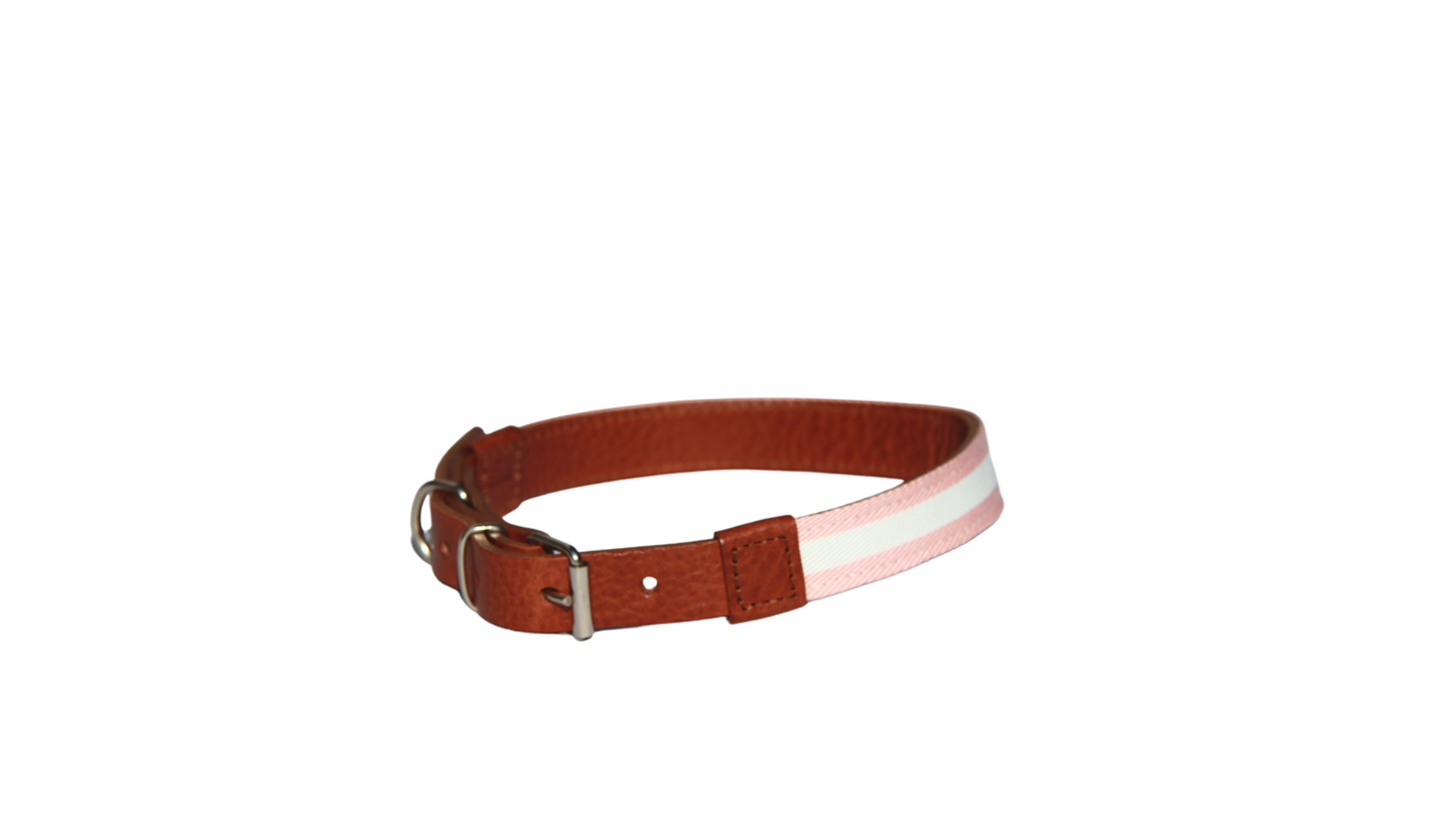 Collar y Correa - Fine Ligne