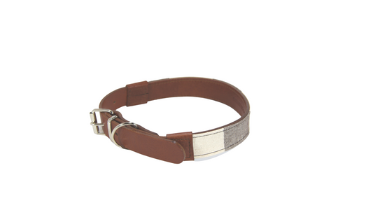 Collar Ligne Strice Cuero Galgo